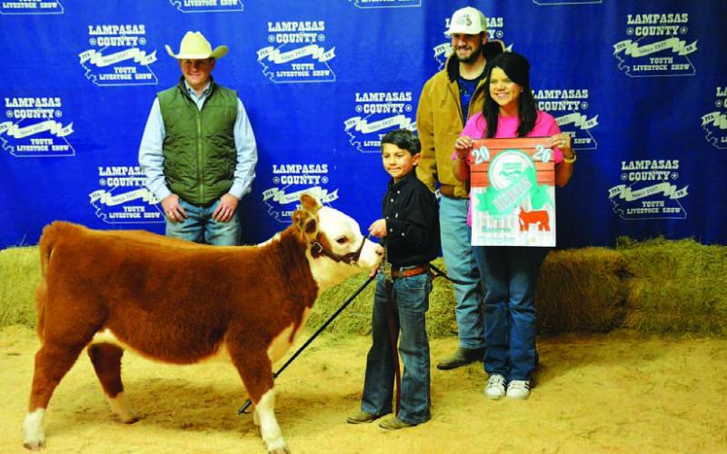 Students take home numerous show honors