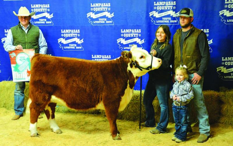 Students take home numerous show honors