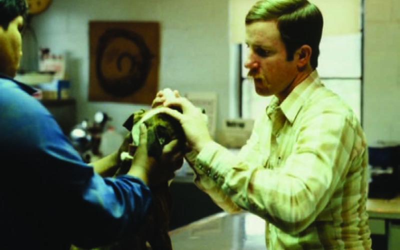 A young Scott Rushing examines a dog at his veterinary clinic. COURTESY PHOTO
