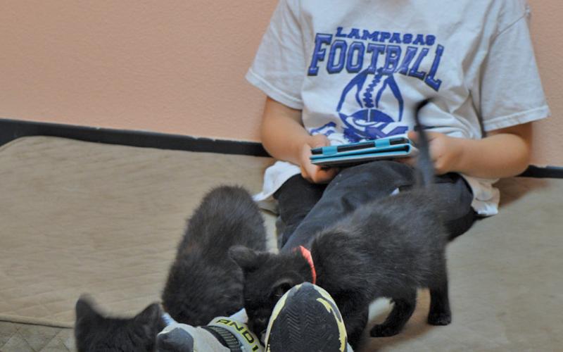 Youngsters like this Lampasas ISD third-grader will have the chance to read with animals until the end of July. erick mitchell | dispa tch record
