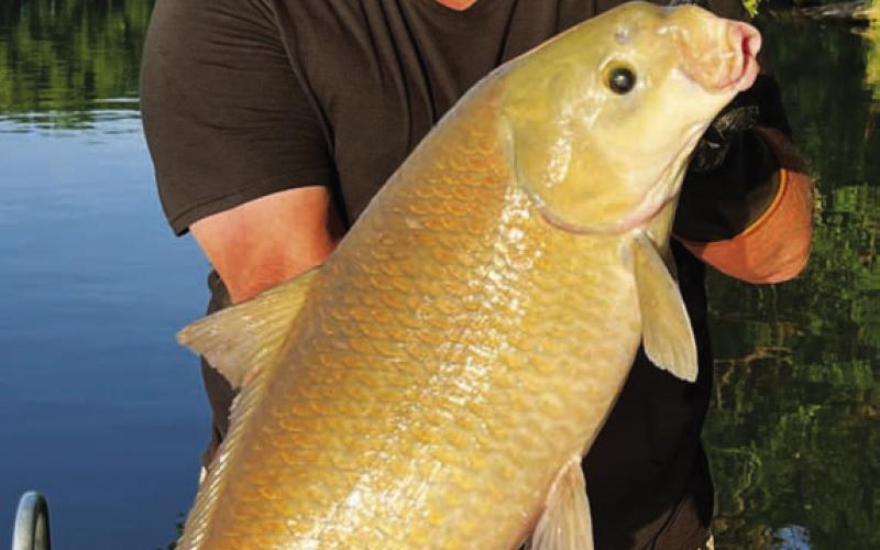 Gary King holds the giant buffalo he caught on the trip. COURTESY PHOTO