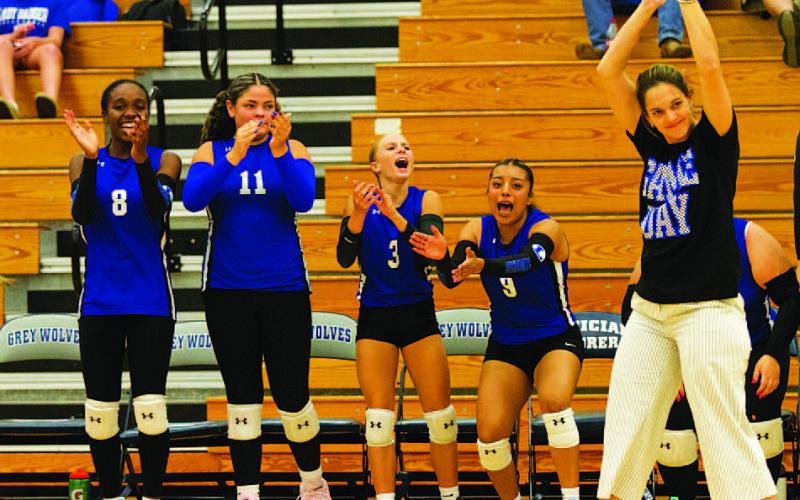 HUNTER KING | DISPATCH RECORD Head coach Ali Tippie and players on the bench celebrate a point against Shoemaker.