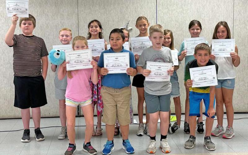Hanna Springs Elementary third-grade A honor roll recipients are pictured. courtesy photo