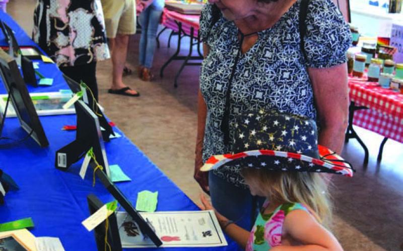 Community members of all ages enjoyed viewing Lampasas County Fair submissions at the First Presbyterian Church Fellowship Hall last summer. FILE PHOTO
