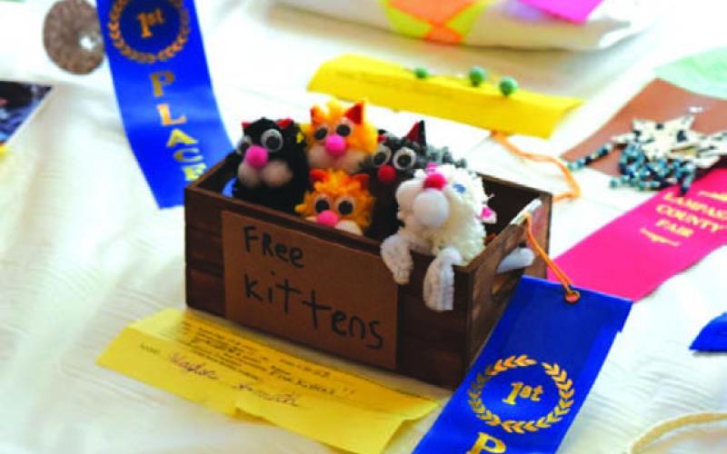 A crate of kittens was a creative craft that placed in the 2024 Lampasas County Fair. FILE PHOTO