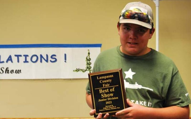 David Carr received best of show honors in the junior division for his sports quilt. MASON HINES | DISPATCH RECORD