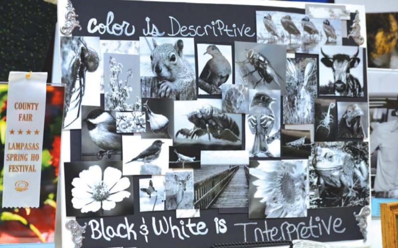 The photography category featured a collage displaying black and white images of county animal life. MASON HINES | DISPATCH RECORD