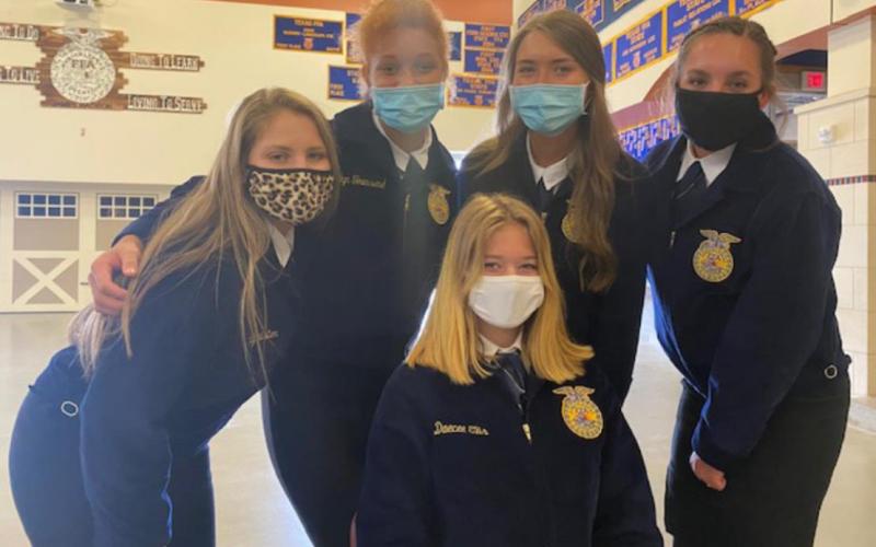 FFA members capture awards at area