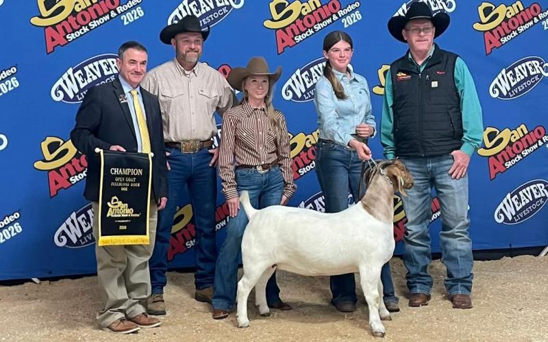 Congratulations go to Lampasas FFA member Jordan Greenburg, who exhibited the champion Boer doe in Open Show at the San Antonio Livestock Show and Rodeo. COURTESY PHOTO