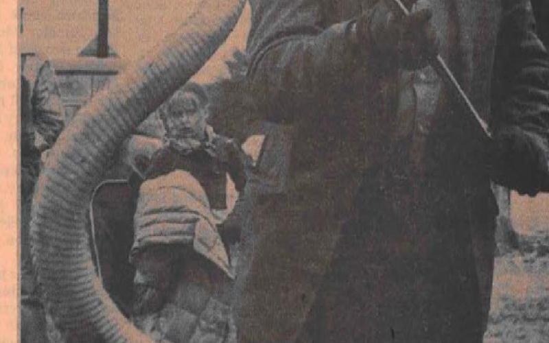 This 1975 newspaper photo shows Bunt Dean displaying the champion rattler, a 65-inch snake that he and his partner J.B. Jennings had captured that year. Dean was one of the early-day snake hunters at the annual jubilee in Lometa. FILE PHOTO