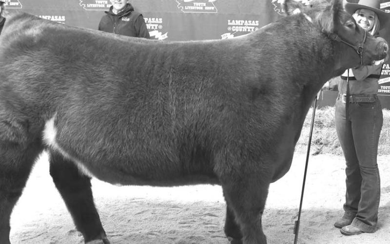 JOYCESARAH MCCABE | DISPATCH RECORD Kari Greiner earned the top award at Saturday’s cattle show, as her steer was named grand champion for 2024. Greiner also was the recipient of the Colorado River Cattlewomen’s First-Time Beef Exhibitor award.
