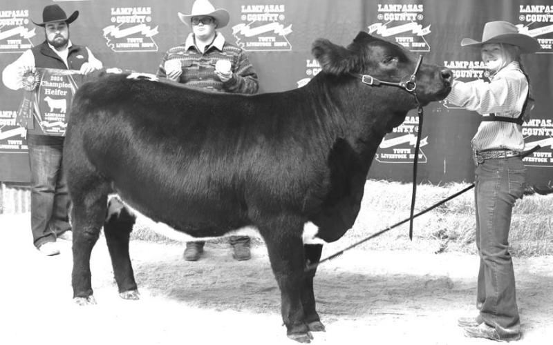 Selie Hodge raised this year’s grand champion heifer. She also took home the Marvin Vann Award. JOYCESARAH MCCABE | DISPATCH RECORD
