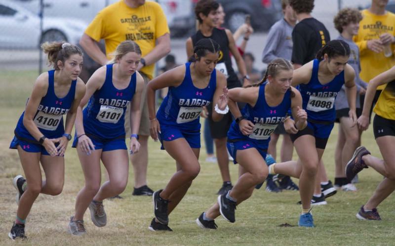 The Lady Badger cross country team takes off at the line during their home meet last Thursday at Lampasas High School. HUNTER KING | DISPATCH RECORD