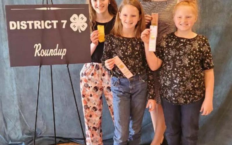 Sisters Vivien Martin and Lauren Martin, on front row, and Allison Martin and Katelyn Martin, back row, all placed at the District 7 4-H Roundup with their Educational Presentations, which demonstrate knowledge and skills in various project areas. COURTESY PHOTO
