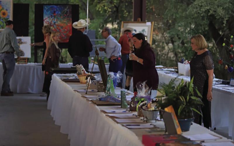 Auction raises funds for community art