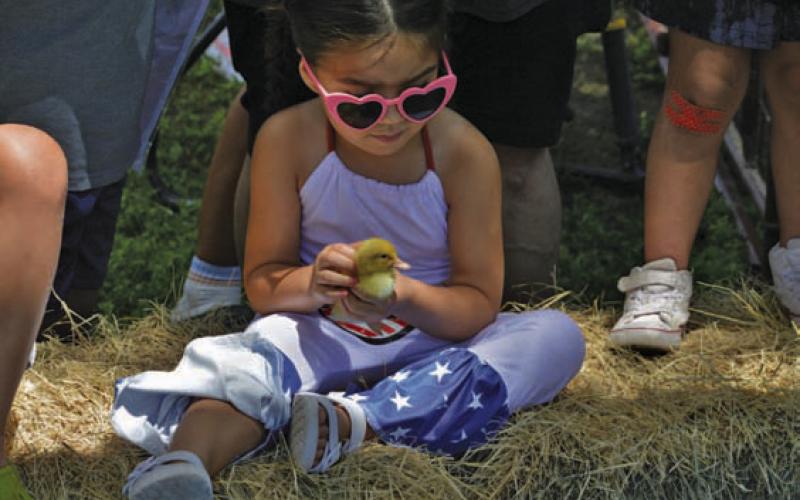 Wren McCarville carefully holds a baby duck at the Kid’s Barnyard, sponsored by Lampassa County Farm Bureau at Kids’ Day. ERICK MITCHELL | DISPATCH RECORD