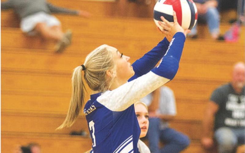 Lady Badgers come up short in tough volleyball