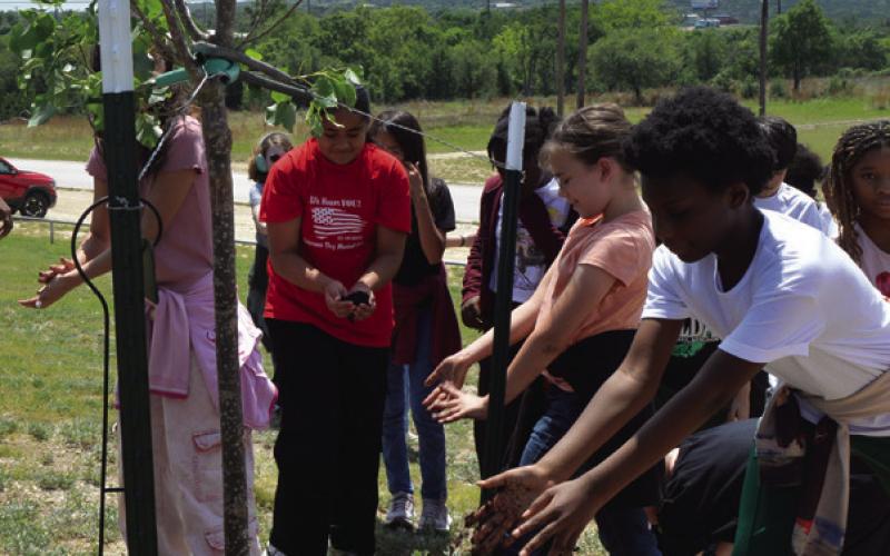 After receiving the OK from administration, Taylor Creek Elementary School students quickly surrounded the new campus tree to help it settle in. ERICK MITCHELL | DISPATCH RECORD