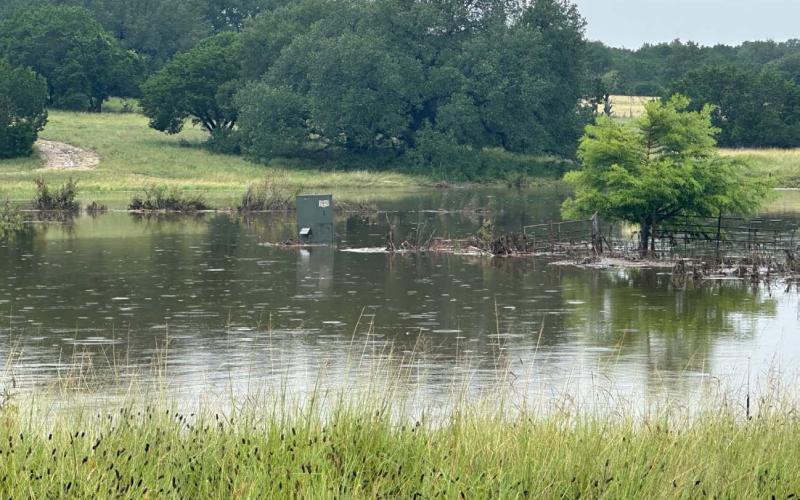 Like many Lampasas County ranchers have experienced with their pastures, this local cow-calf operation has had much of its forage under water due to exponential amounts of rain this month. joycesarah mccabe | dispa tch record