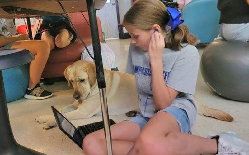 courtesy photo Honey, the Kline Whitis Elementary campus dog, sits with fifth-grader Ava Preece as she does her work.