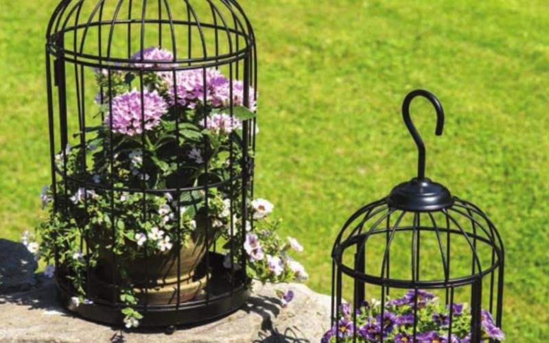 Bird cage planters add whimsy to outdoor or indoor décor while providing a unique place to display air plants or seasonal plants. COURTESY PHOTO | GARDENER’S SUPPLY COMPANY