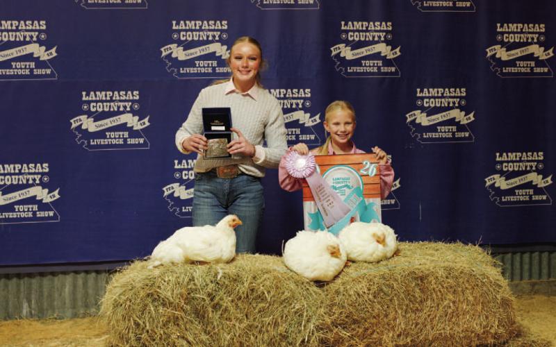 Keylie Turner showed the reserve champion market pullet, the reserve champion cockerel and the reserve champion roaster. ADAM BARRIOS | DISPATCH RECORD