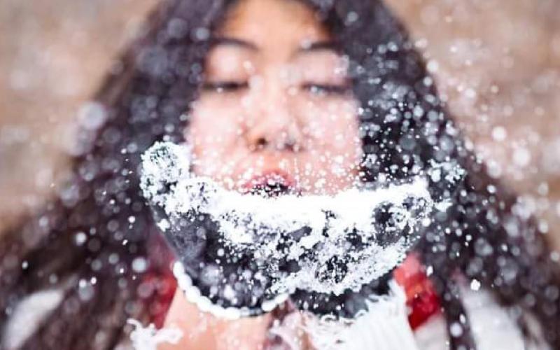 Lampasans enjoy a few snow days