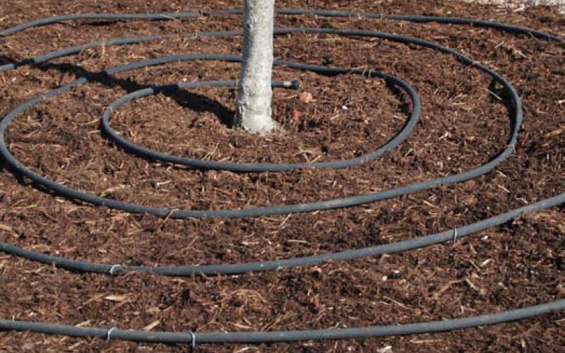 A soaker hose placed around the base of a tree can be used to help keep the soil and roots moist. COURTESY PHOTO | WWW.MELINDAMYERS.COM