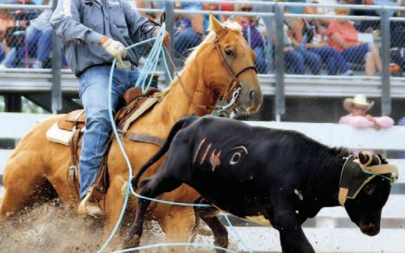 Lampasas man wins team roping event at the ‘Daddy of ’em all’
