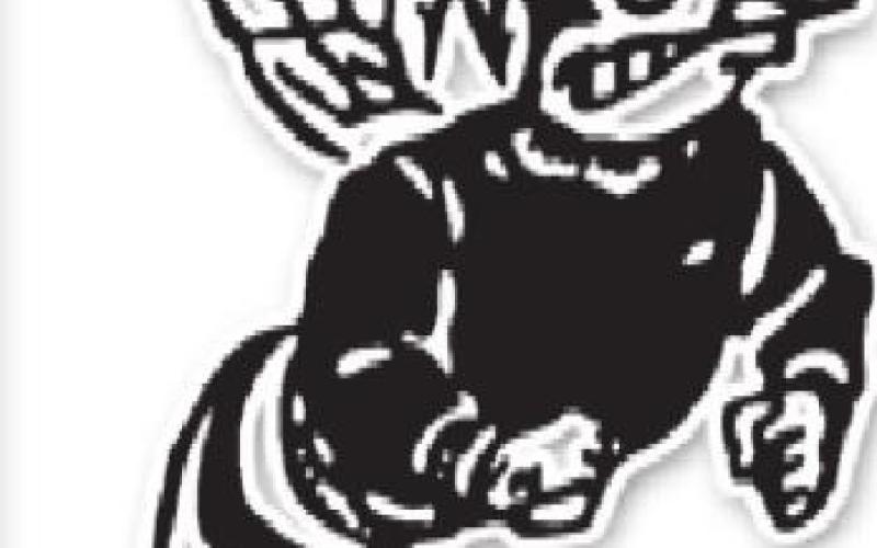 Alt Text for Image