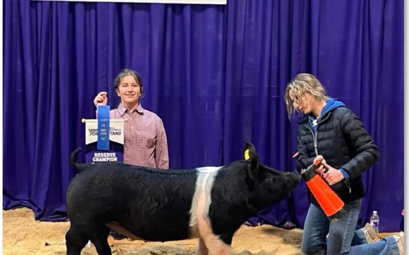 Student exhibits reserve champion in Kerrville show
