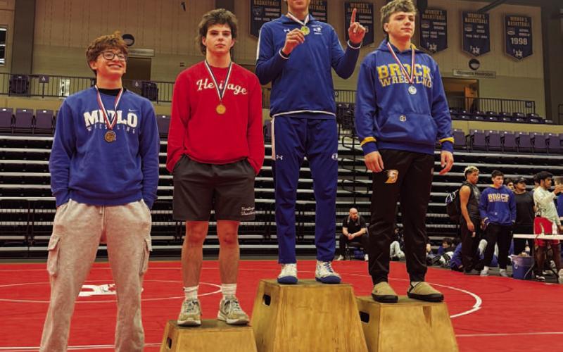 Wrestler wins district title; several others advance to regionals