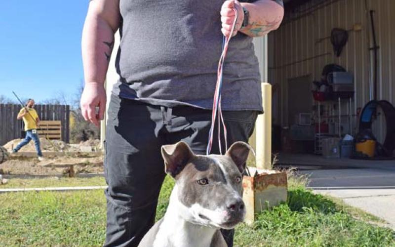 Lampasas Animal Shelter Director Casey Schwartzer walks Poppy, a terrier mix available for adoption at the shelter. “She wants to find her people,” Schwartzer said. Adoptable animals seek their forever homes, not a temporary stay. alexandria randolph | dispatch record