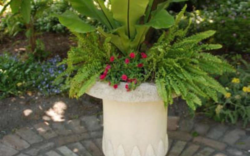 Provide heat-stressed plants in containers relief by moving them into the shade during heat waves. COURTESY PHOTO | MELINDAMYERS.COM