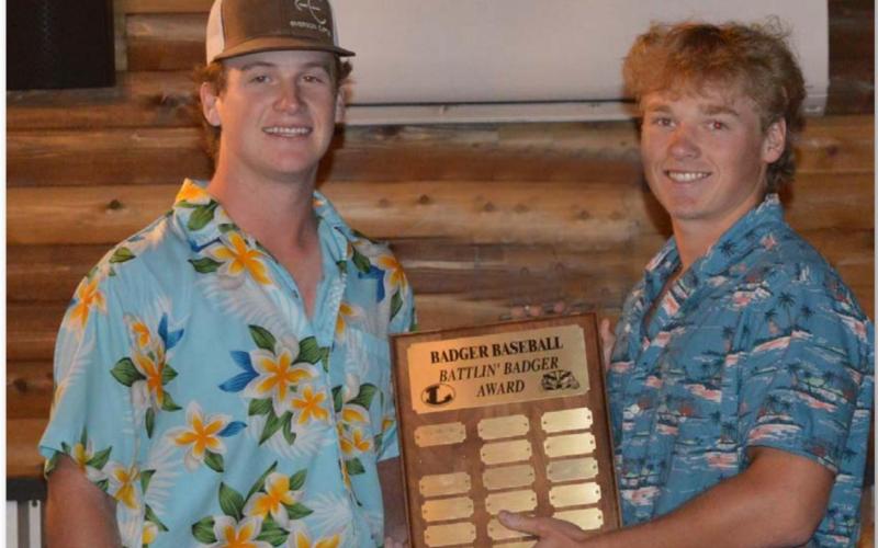 Badgers announce baseball awards