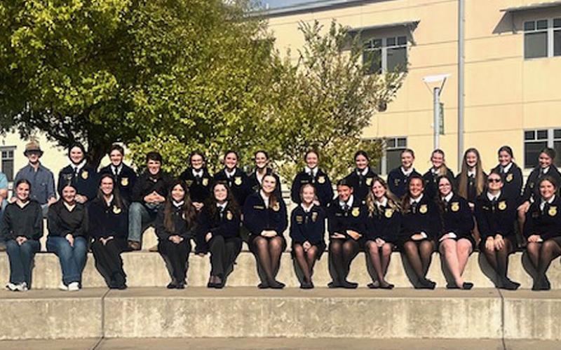 COURTESY PHOTO Lampasas FFA members competed at the Bluebonnet District meet in Burnet, where the Lampasas chapter captured the sweepstakes honor.