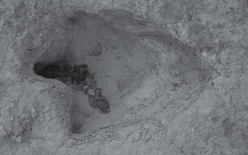 Dinosaur tracks can be found in Lampasas County near the Lampasas River. JEFF JACKSON | COURTESY PHOTO