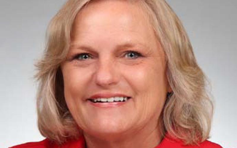 Lampasas County District Clerk Edith Wagner Harrison is among the officials across the state being considered for recognition as District Clerk of the Year. She recently was named Region 5 District Clerk for 2024. courtesy photo