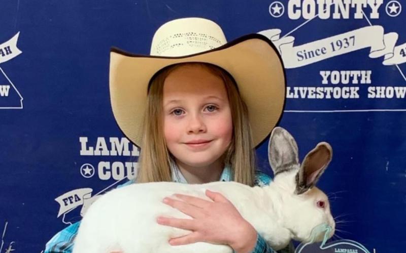 Success at rabbit show