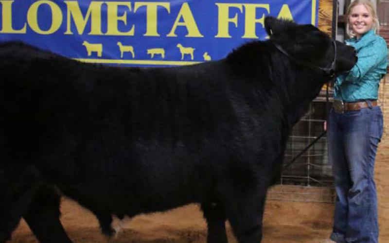 The grand champion steer was shown by Kari Greiner. MASON HINES | DISPATCH RECORD