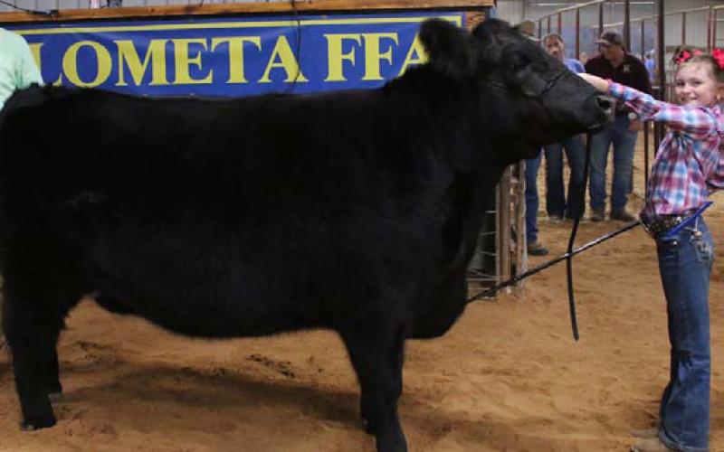 Kylee Davis exhibited the grand champion heifer at the 2024 Lometa Livestock Show. MASON HINES | DISPATCH RECORD Class 18