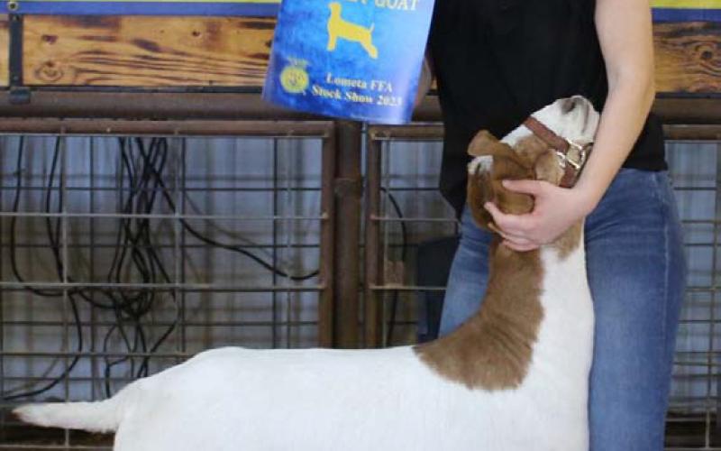 The 2023 grand champion market goat was exhibited by Daecee Ellis. MASON HINES | DISPATCH RECORD