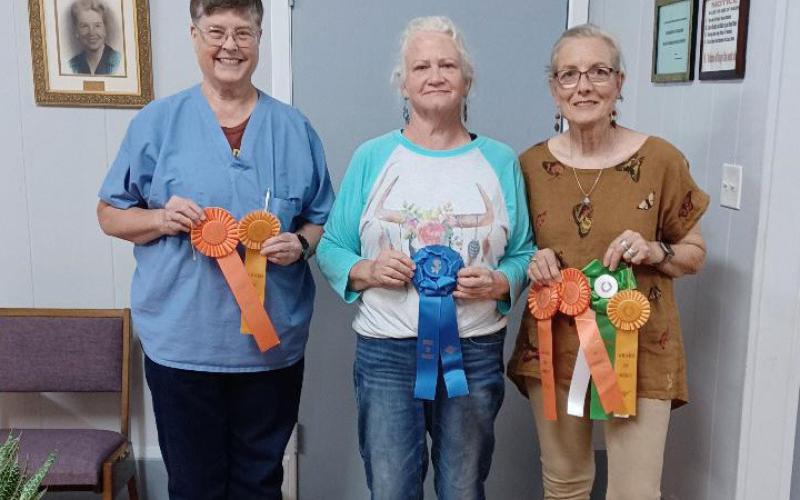 From left to right are Sue Anderson, Teresa Stewart and Tico Hicks, the big award winners at the 2024 L-M Garden and Civic Club Flower Show. courtes y photo