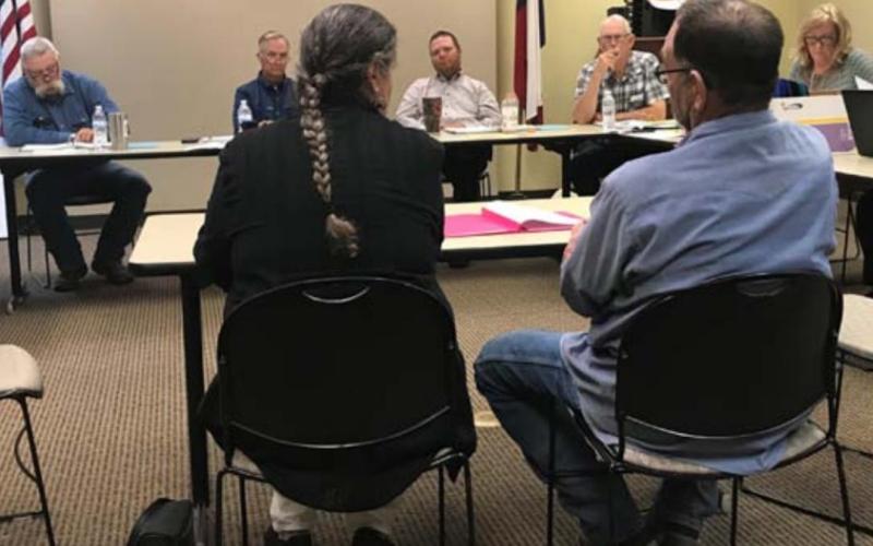Adamsville Volunteer Fire Department Treasurer Sharon Watson and Assistant Chief Dean Watson address the Lampasas Commissioners Court and county staff during a budget workshop this week. MONIQUE BRAND | DISPATCH RECORD