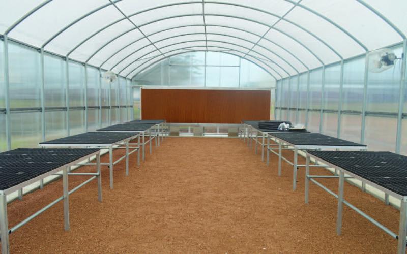 COURTESY PHOTO | MELINDAMYERS.COM The new greenhouse will be utilized by students in floral, horticulture and greenhouse courses at Lampasas High School.