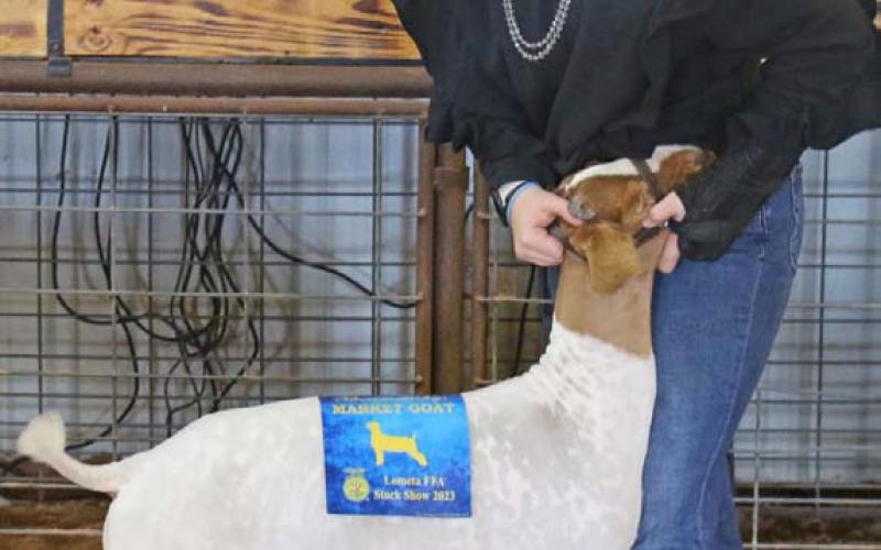 Lorelai Dressel took home the intermediate market goat showmanship award at the Lometa FFA Stock Show last weekend. MASON HINES | DISPATCH RECORD