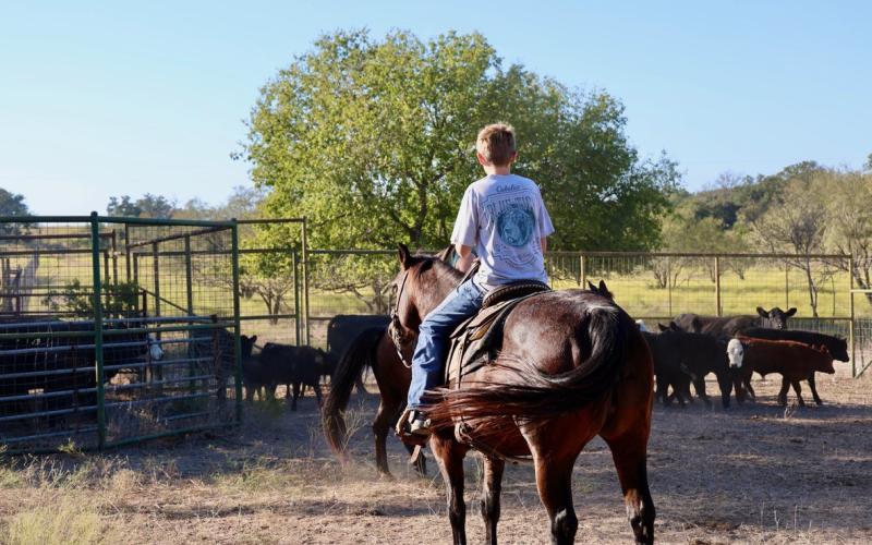 joycesarah mccabe | dispatch record This young cowboy embodies the spirit of agriculture, where working with cattle fosters responsibility, resilience, and a deep connection to the land.