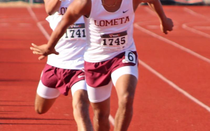 Hornets place but short of qualifying for state in