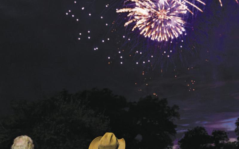 Spectators watch the sky as it sparkles during the Spring Ho firework show last Wednesday. ADAM BARRIOS | DISPATCH RECORD