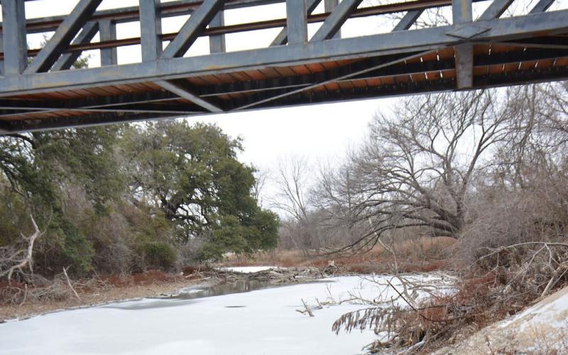A thin sheet of ice covers most of the creek in this photo taken behind the Palapa Springs business center off U.S. Highway 281 South. COURTESY PHOTO
